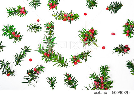 Fir branches with red berries background and note. 60090895