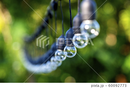 The bulbs are hung in long rows background nature of green tree look beautiful in the morning 60092773