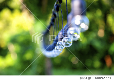 The bulbs are hung in long rows background nature of green tree look beautiful in the morning 60092774