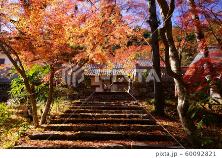 晩秋の木洩れ日・正法寺3 晩秋の木洩れ日・正法寺3 60092821