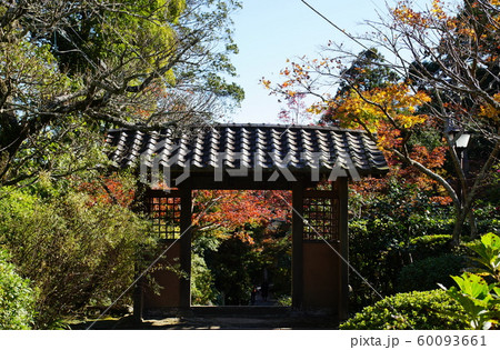 海蔵寺   Kaizouji temple 60093661