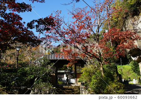 海蔵寺   Kaizouji temple 60093662