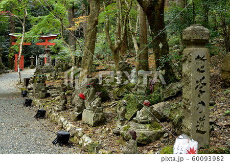 奥山方広寺 参道 奥山方広寺 参道 60093982