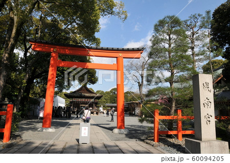 京都 春の城南宮 しだれ梅 京都 春の城南宮 しだれ梅 60094205