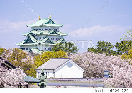 名古屋城と桜 60094226