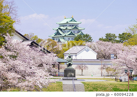 名古屋城と桜 60094228