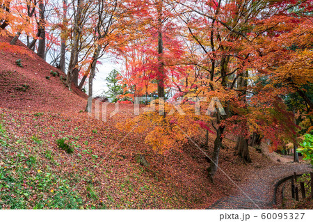秋の霞ヶ城公園と紅葉 二本松城 福島二本松 秋の霞ヶ城公園と紅葉 二本松城 福島二本松 60095327