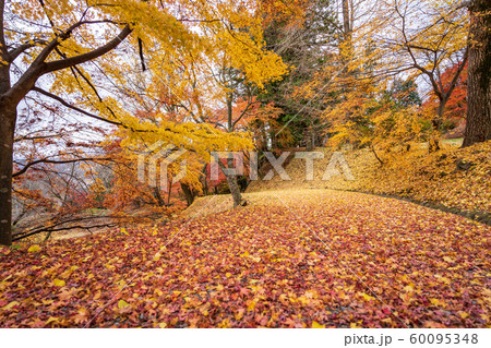 秋の霞ヶ城公園と紅葉　二本松城　福島二本松 60095348