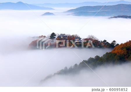 天空の山城7750 60095852