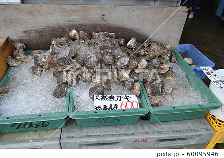 魚市場の天然岩牡蠣 60095946