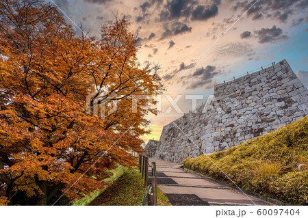 秋の霞ヶ城公園と紅葉　二本松城　福島二本松 60097404