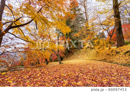 秋の霞ヶ城公園と紅葉　二本松城　福島二本松 60097453