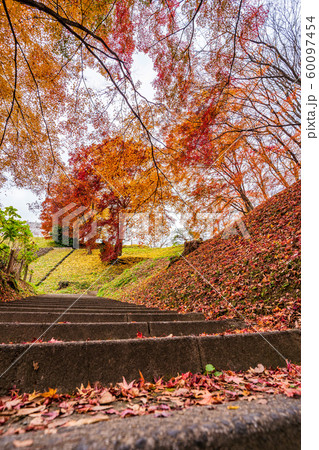 秋の霞ヶ城公園と紅葉 二本松城 福島二本松 秋の霞ヶ城公園と紅葉 二本松城 福島二本松 60097454