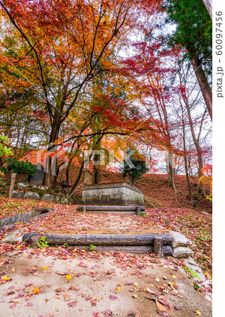 秋の霞ヶ城公園と紅葉 二本松城 福島二本松 秋の霞ヶ城公園と紅葉 二本松城 福島二本松 60097456