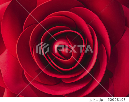 Red rose flower Beauty Art Craft decoration love concept Red rose flower Beauty Art Craft decoration love concept 60098193