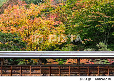 紅葉の庭 60098246