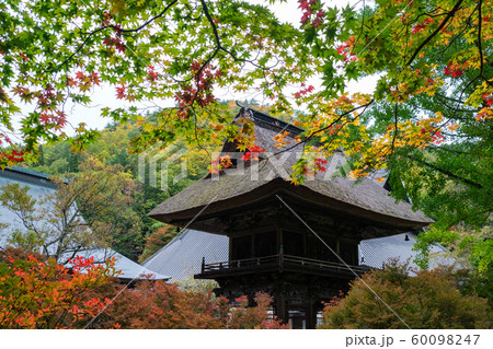 山門の紅葉 山門の紅葉 60098247