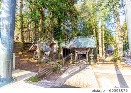 諏訪大社　上社本宮　【長野県】 60098376