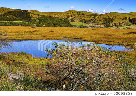 【長野県】初秋の霧ヶ峰　七島八島 60098858
