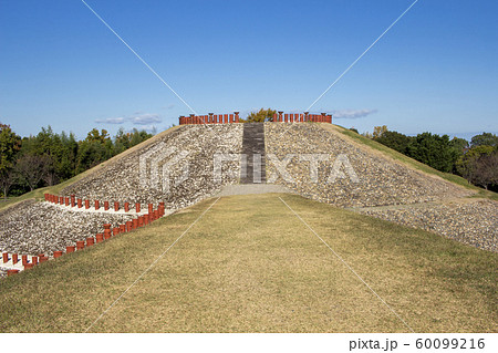 亀塚古墳公園　 60099216