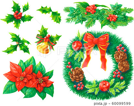クリスマスの植物イラストセットのイラスト素材