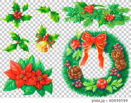クリスマスの植物イラストセットのイラスト素材