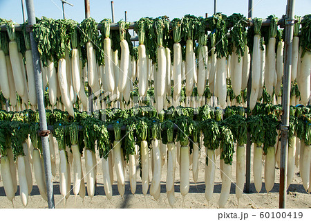 干し大根 60100419