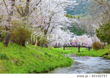 春の忍野の風景、山梨県南都留郡忍野村にて 春の忍野の風景、山梨県南都留郡忍野村にて 60100797