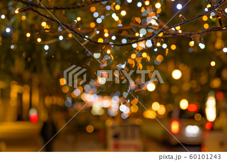 木に飾られたデコレーションと玉ボケ 60101243