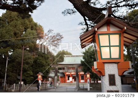 神社参道 神社参道 60101579