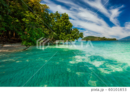 On the shore of of a tropical island. Koh Chang. Thailand. On the shore of of a tropical island. Koh Chang. Thailand. 60101653