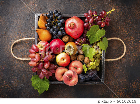 Various autumn fruits. Harvest concept 60102619