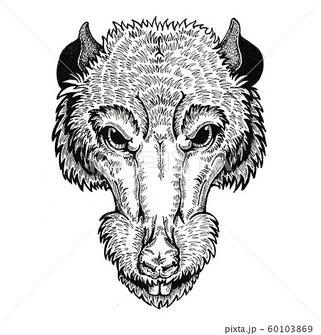 Wild rat vector portrait. Concept image of symbol chinese happy new year 2020. Lunar horoscope sign. Happy new year and mouse. Wild rat vector portrait. Concept image of symbol chinese happy new year 2020. Lunar horoscope sign. Happy new year and mouse. 60103869
