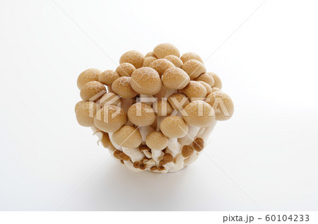 ぶなしめじ 60104233