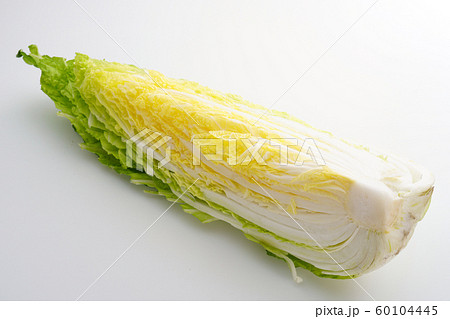 白菜　1/4カット 60104445