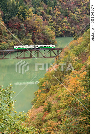 只見線「11月中旬の只見川第三橋梁」紅葉風景 60104977