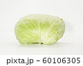 キャベツ1 60106305