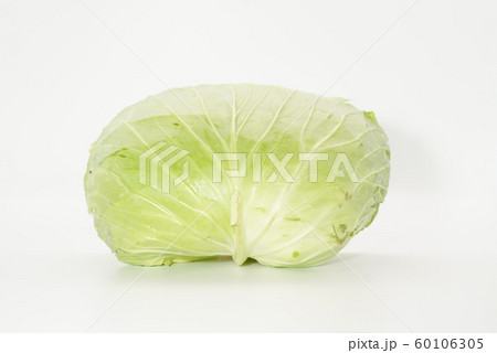 キャベツ1 60106305