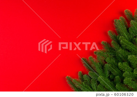 Top view of green fir tree branches on colorful Top view of green fir tree branches on colorful 60106320