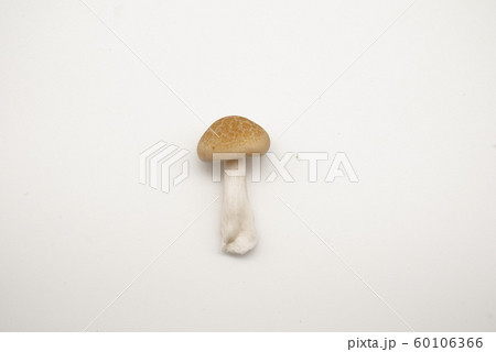 しめじ1 しめじ1 60106366