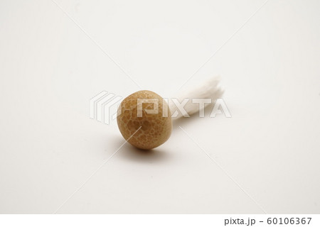 しめじ2 しめじ2 60106367