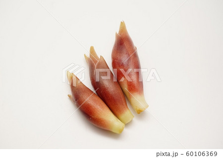 ミョウガ3 60106369