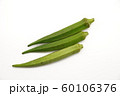 オクラ2 60106376