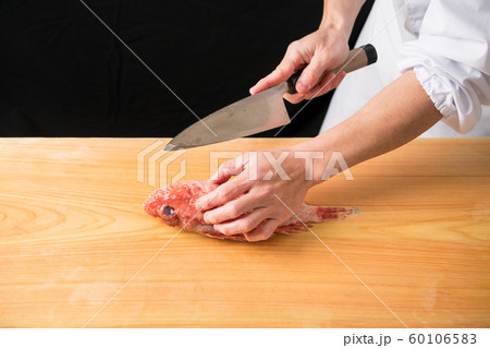 カサゴを捌く板前 カサゴを捌く板前 60106583