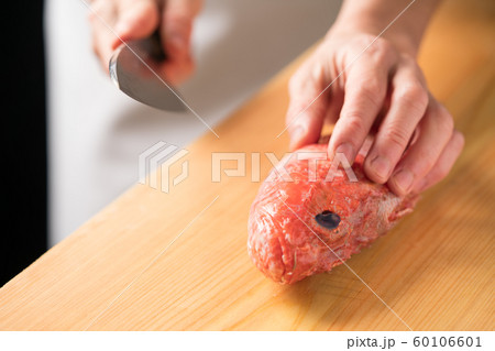 カサゴを捌く板前 60106601