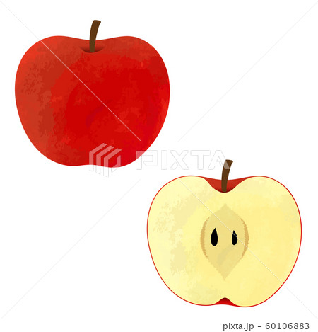丸ごとと半分の2種類のリンゴのイラスト 赤 のイラスト素材 60106883 Pixta