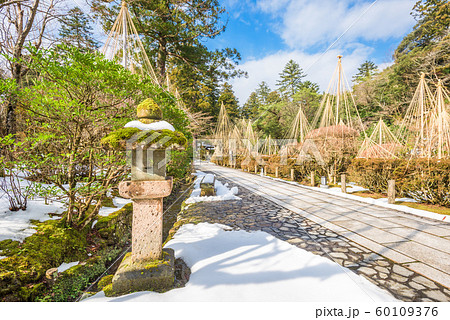 Kaga Onsen, Japan  60109376