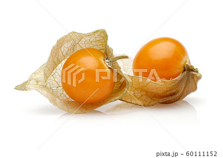 Physalis fruit or golden berry isolated 60111152