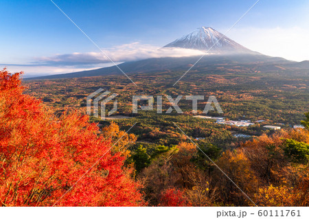 《山梨県》秋の富士山・紅葉台 60111761