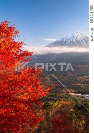 《山梨県》秋の富士山・紅葉台 《山梨県》秋の富士山・紅葉台 60111786